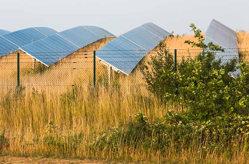 Solar farm Bad Kösen