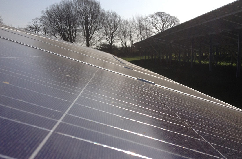 Solar farm Serbitz